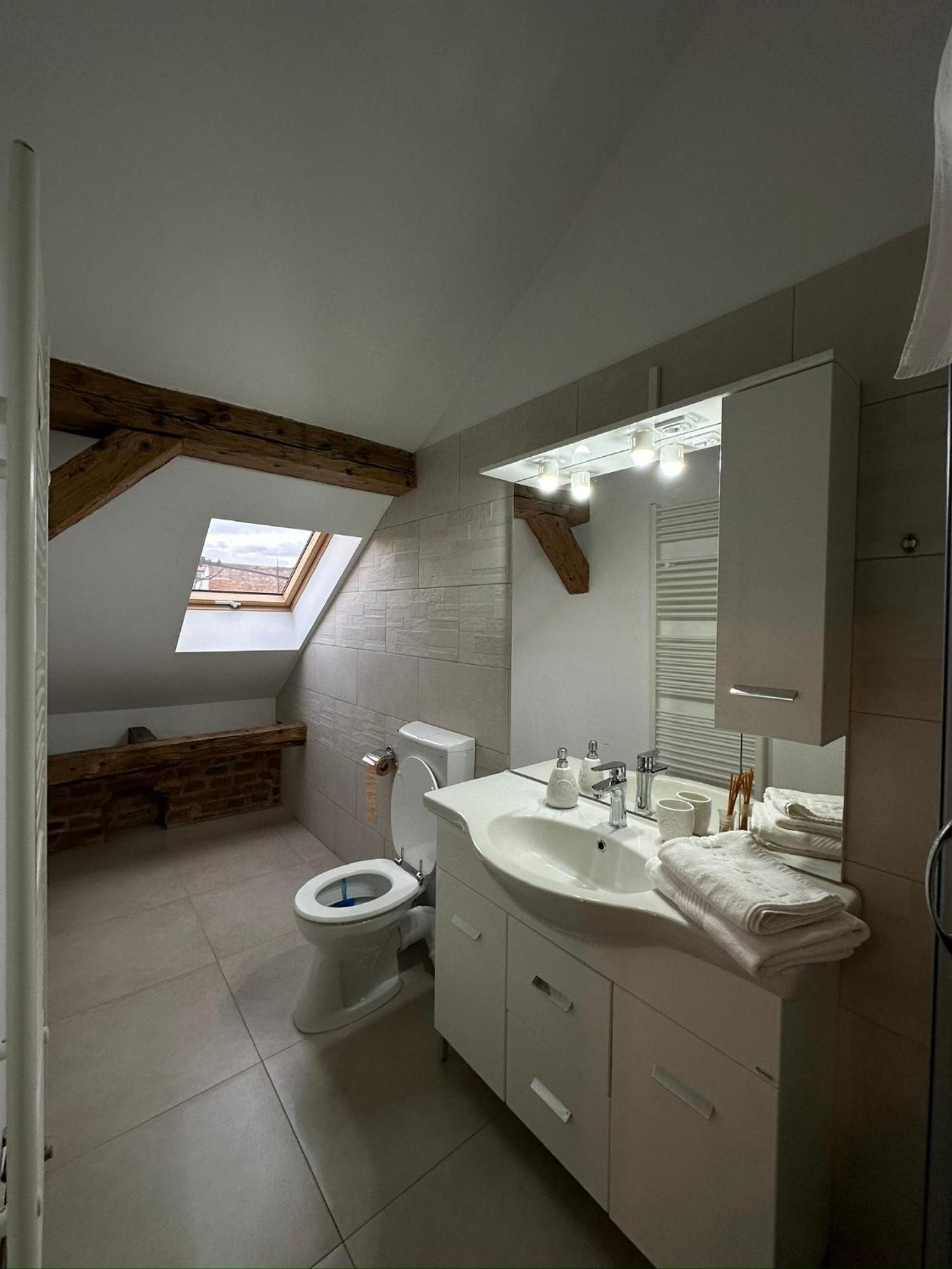 Antique Aparthotel Alba Iulia Luaran gambar