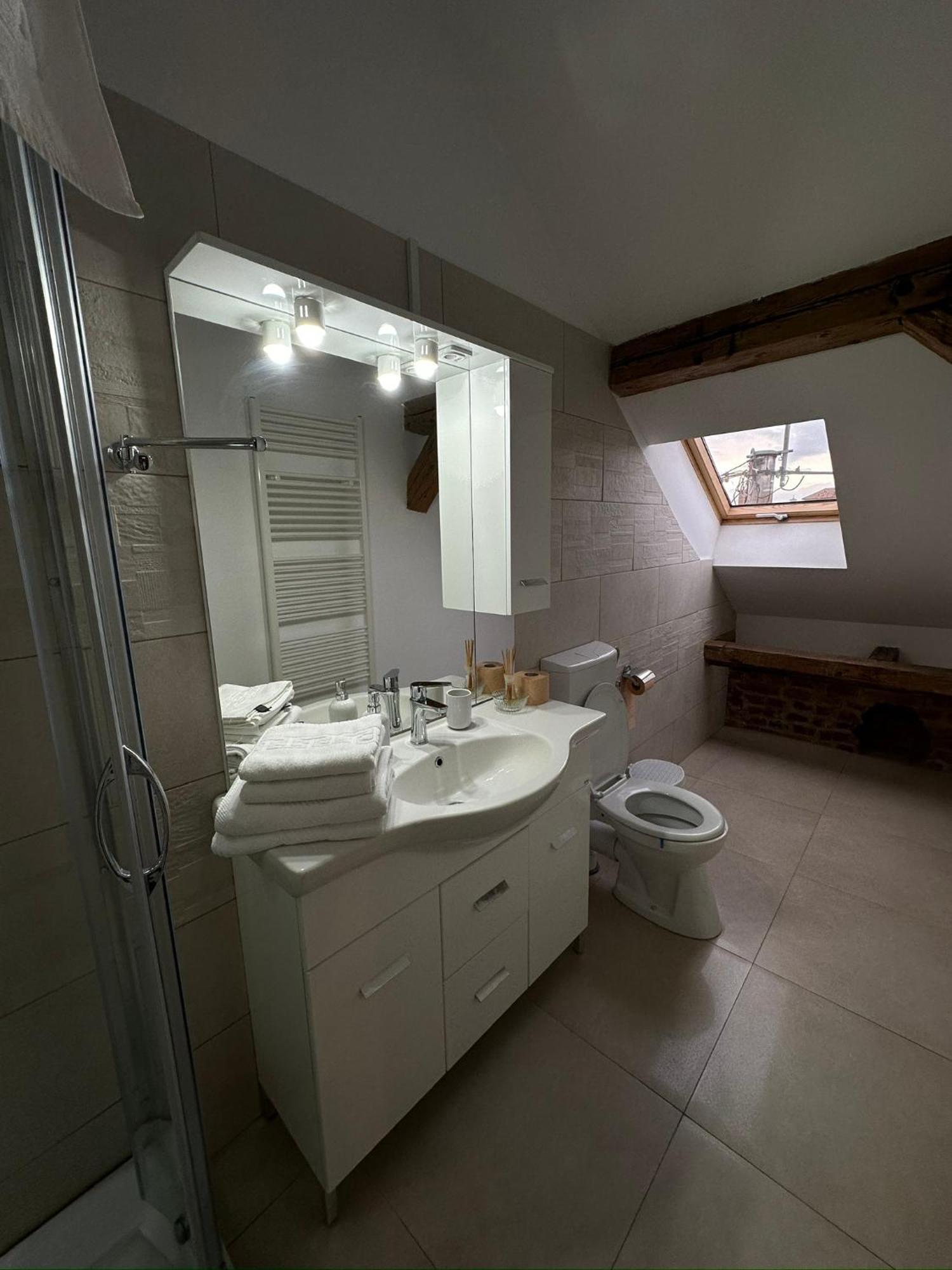 Antique Aparthotel Alba Iulia Luaran gambar
